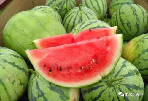 莱州今日吃瓜爆料,揭秘当地热点事件背后的真相 第3张 莱州今日吃瓜爆料,揭秘当地热点事件背后的真相 第3张